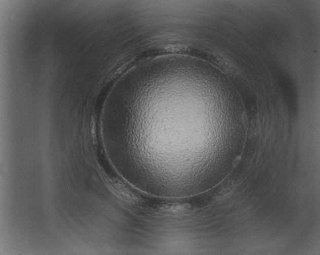 X0000067910646200604201405