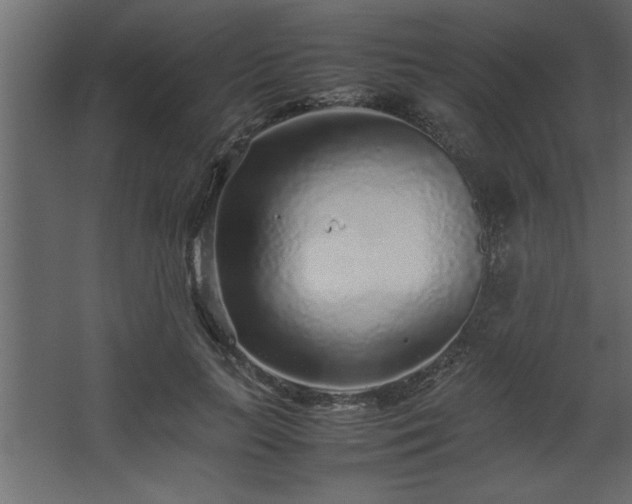 X0000067910647200604201405