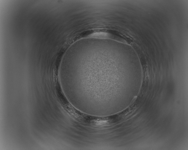 X0000067910651200604201405