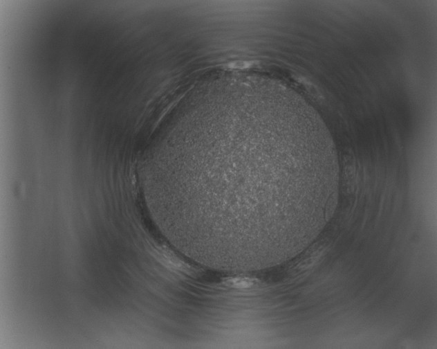 X0000067910654200604201406