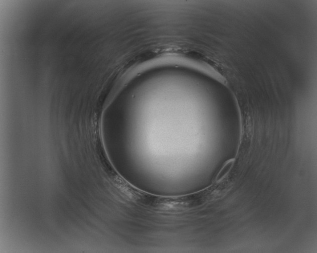 X0000067910657200604201406