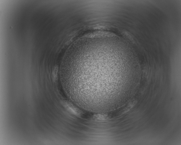 X0000067910660200604201406