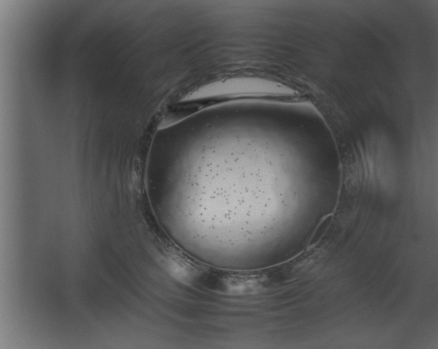 X0000067910661200604201406