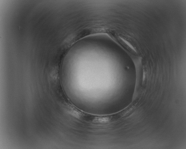 X0000067910665200604201406