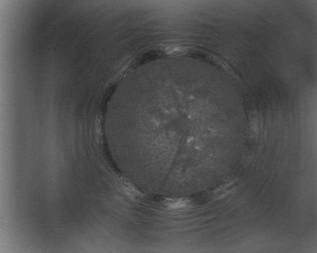 X0000067910667200604201406