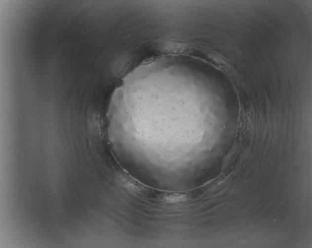 X0000067910669200604201406