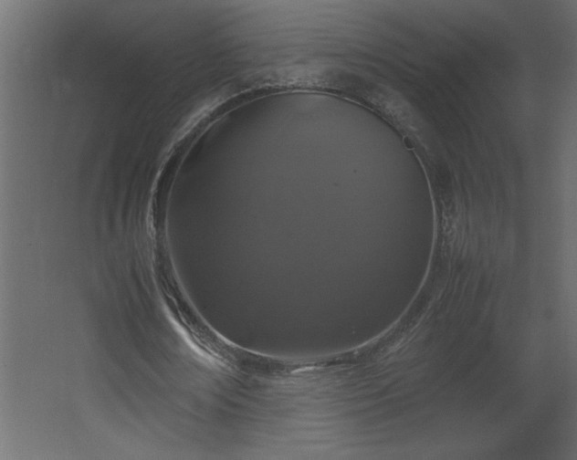 X0000067910674200604201405