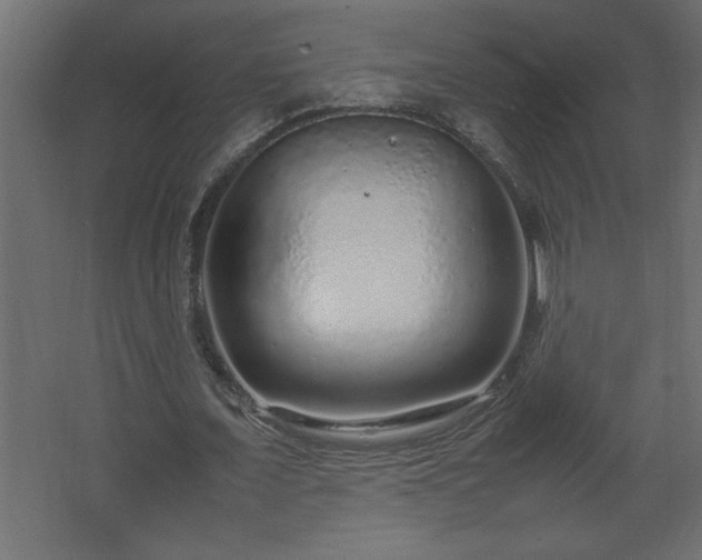 X0000067910675200604201405