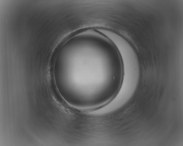 X0000067910676200604201405