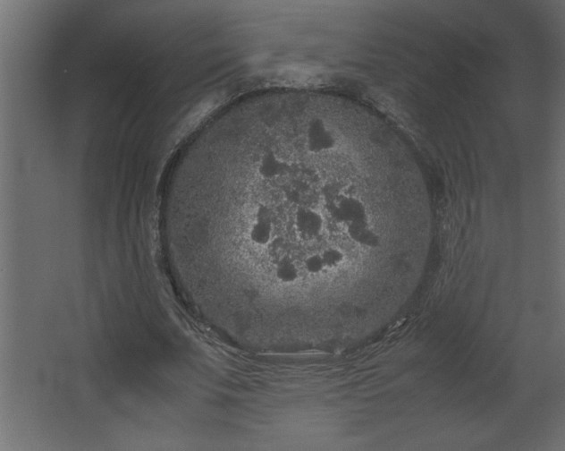 X0000067910679200604201405