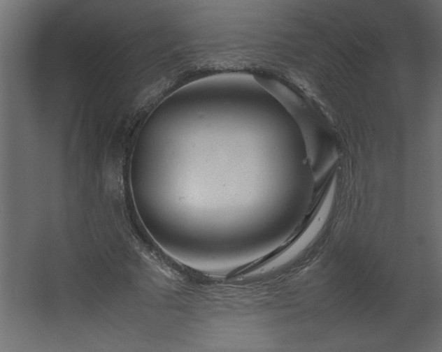 X0000067910681200604201405