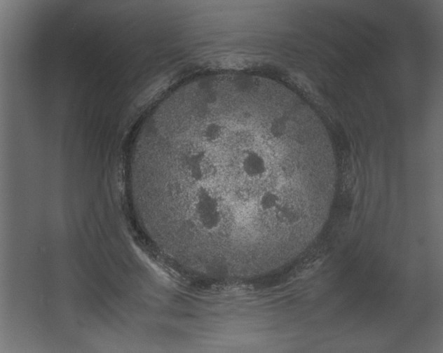 X0000067910683200604201405