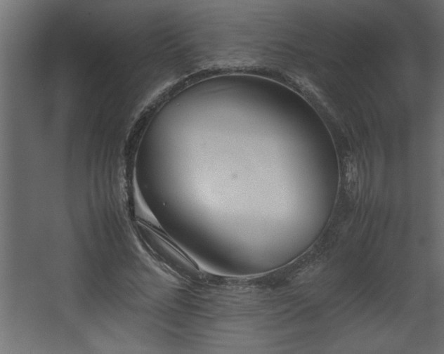 X0000067910684200604201405