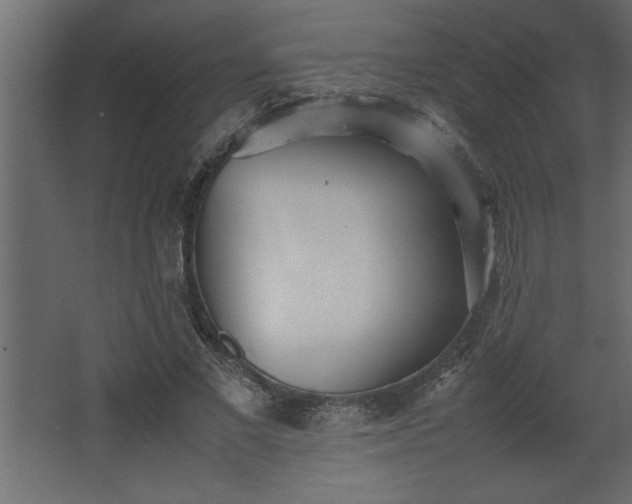 X0000067910685200604201405