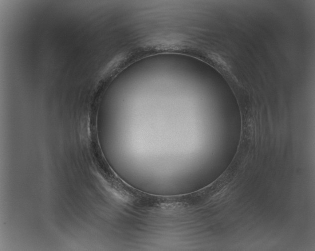 X0000067910686200604201405