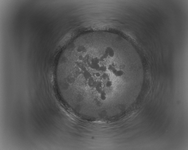 X0000067910687200604201405