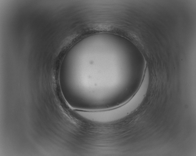 X0000067910688200604201405