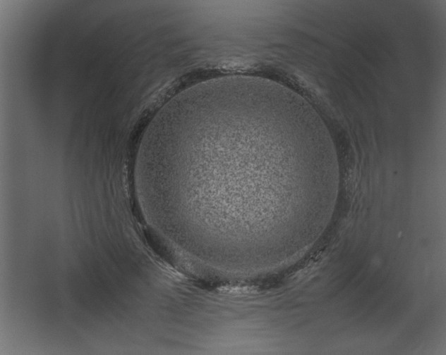 X0000067910689200604201405