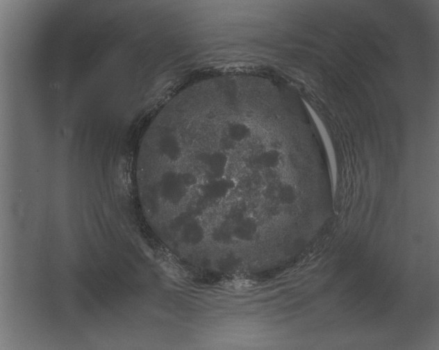 X0000067910695200604201405