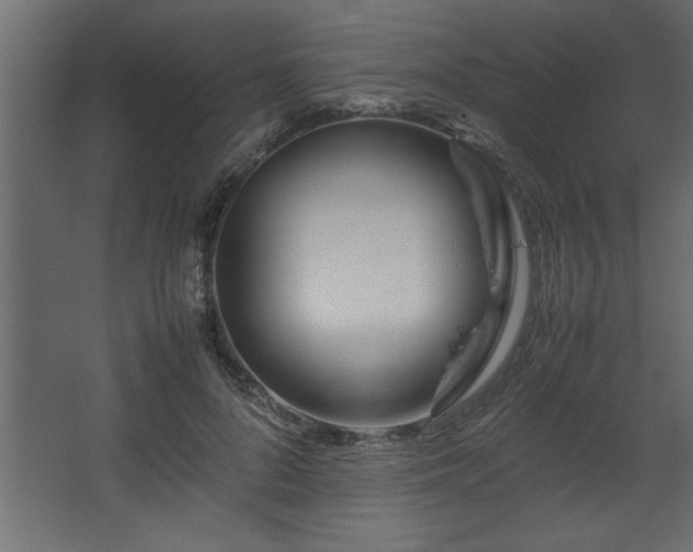 X0000067910696200604201405