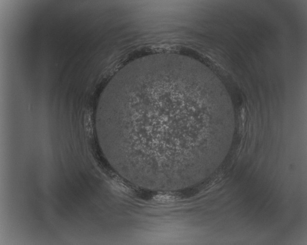 X0000067910699200604201405