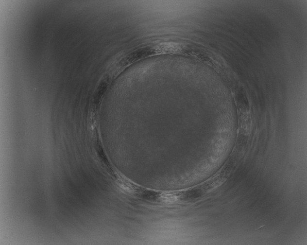 X0000067910701200604201405