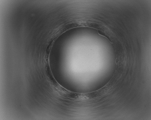 X0000067910702200604201405