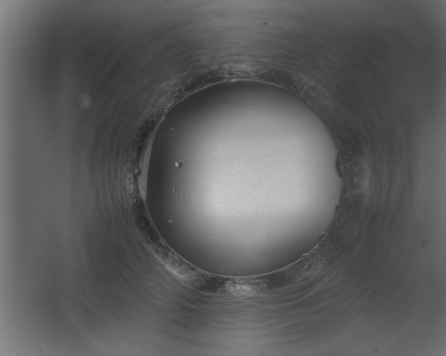 X0000067910706200604201404