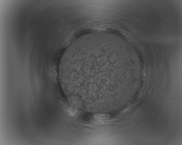 X0000067910707200604201404