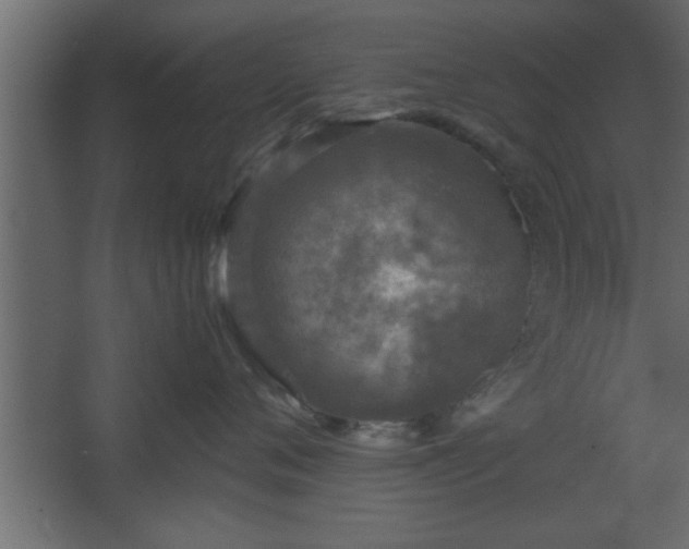 X0000067910720200604201404