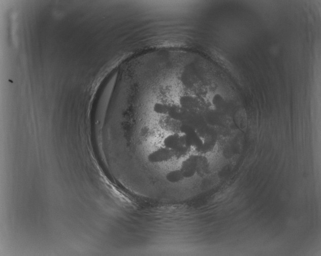 X0000067910721200604201403