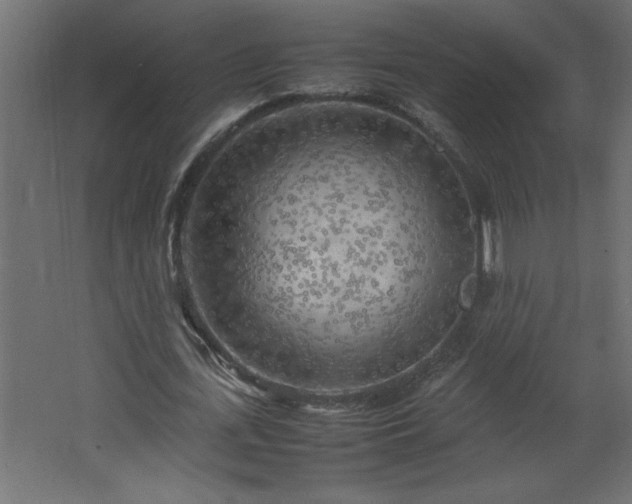 X0000067910723200604201403