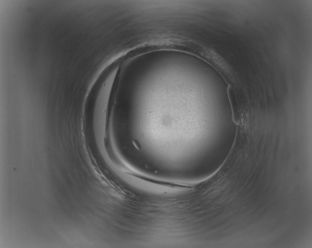 X0000067910724200604201403