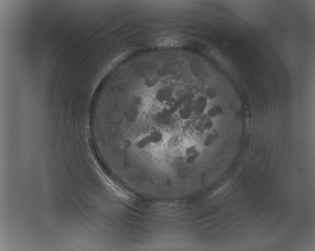 X0000067910725200604201403