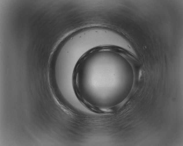 X0000067910728200604201404