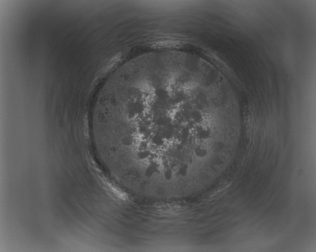 X0000067910729200604201404