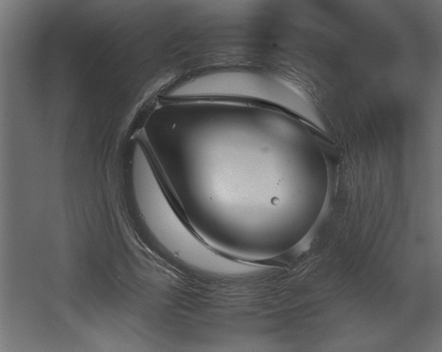 X0000067910731200604201404