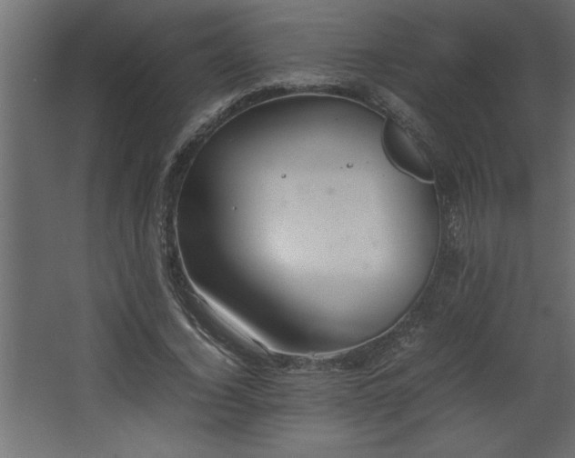 X0000067910732200604201404