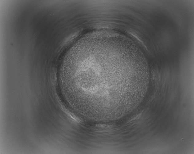 X0000067910733200604201404