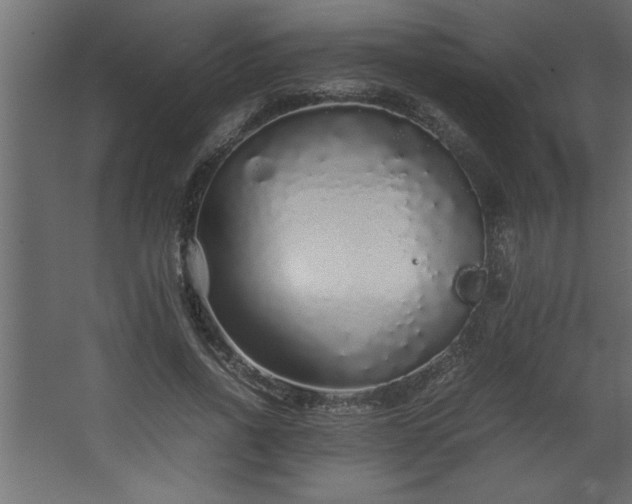 X0000067910734200604201404