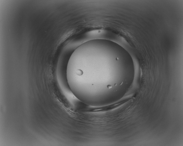 X0000067910735200604201404