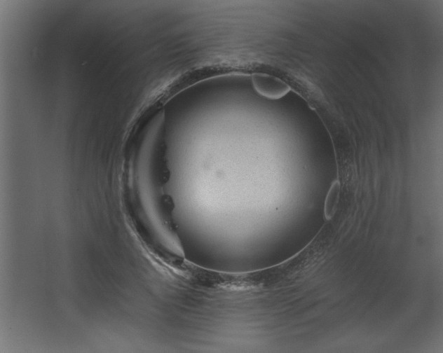 X0000067910736200604201404