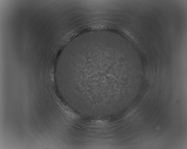 X0000067910737200604201404