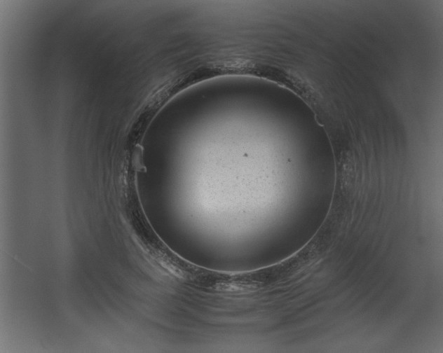 X0000067910739200604201404