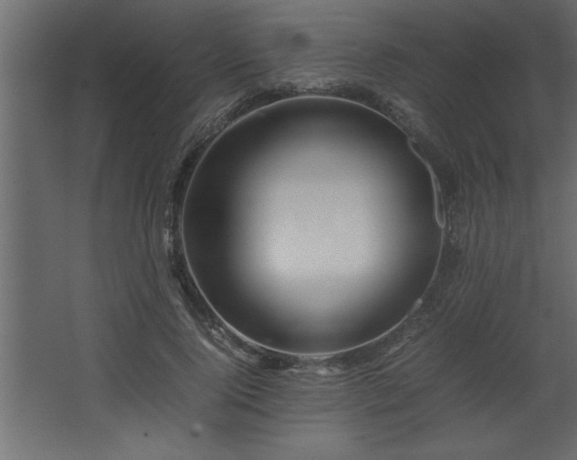 X0000067910740200604201404