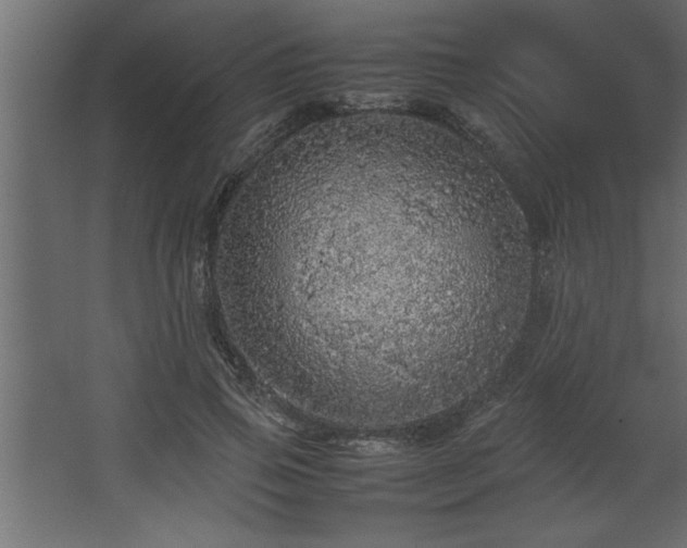 X0000067910741200604201404