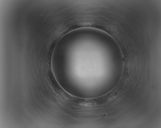 X0000067910743200604201404