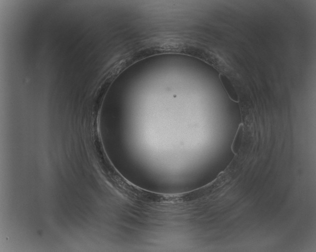 X0000067910744200604201404