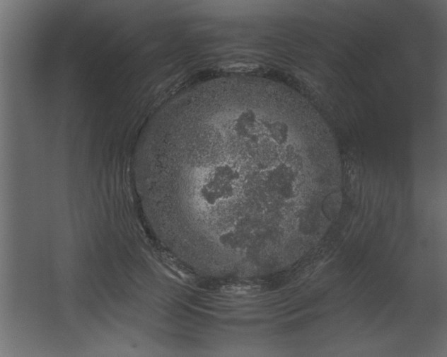 X0000067910745200604201404