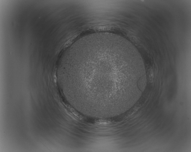 X0000067910746200604201404